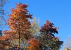 home_10-12-08 019